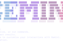 Gemini CLI